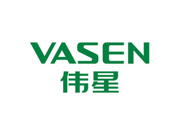 伟星的LOGO标志